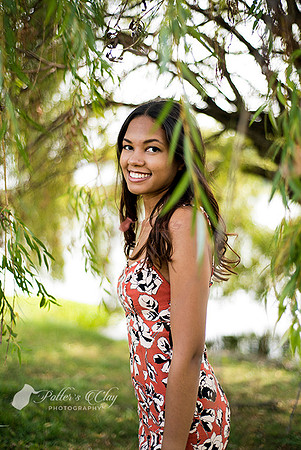 _CWL2937 copy