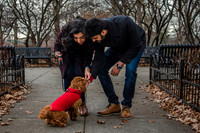 The Kumar Family